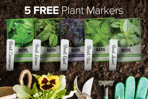 Gardeners Basics, Basil Seeds for Planting Home Garden Herbs - 5 Variety Herb Pack Thai, Lemon, Cinnamon, Sweet and Dark Opal Basil Seeds Herb Seeds for Indoors, Outdoors, Hydroponics & Aquaponic - Image 2