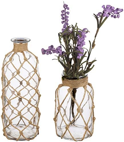 MyGift Small Glass Vases for Flowers, Set of 2 Coastal Flower Vas...