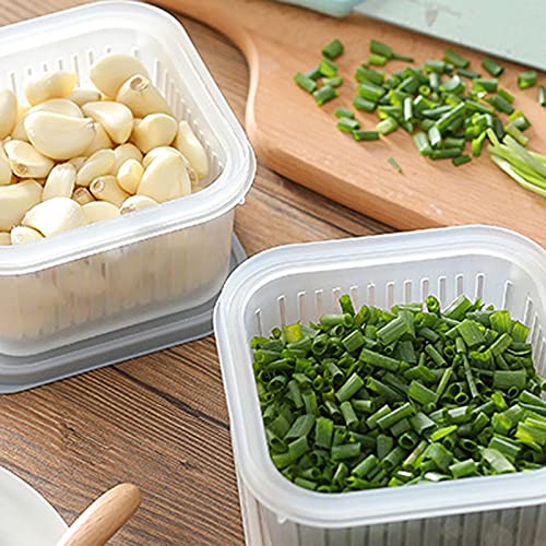 Contenitore in plastica per la conservazione degli Alimenti freschi per la Famiglia, con Coperchio e Scomparto di Scarico, Design di Controllo dell'Acqua Che Mantiene