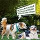 Flying Paws Hundewindeln für Rüden, M-24 mit Aktivkohle Weiche und Atmungsaktive Rüdenwindel, Odour-Neutralisierung, Super Saugfähig Einweg-Hundewindeln, für Markierung, Harninkontinenz, Reisen