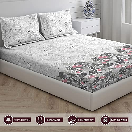 Image of Layers Miami Cotton 146 TC King Sized Double Bedsheet Set (Grey)