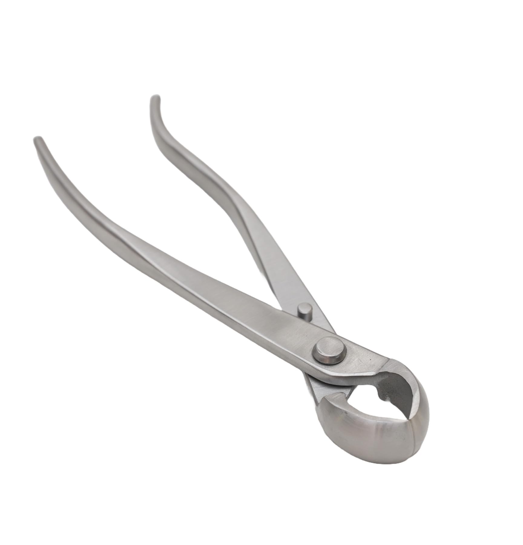 IRUN BONSAI Vaciadora para Bonsái 210mm, Acero Inoxidable, Corte Cóncavo, Herramienta Profesional de Jardinería