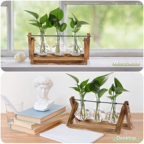 Firbon Plant Propagation Station, 3 Diamond Glass Planter Bulb Vase, Desktop Air Plant Terrarium With Solid Wooden Stand For Hydroponics Plants Home Office Garden Decor #TOP3