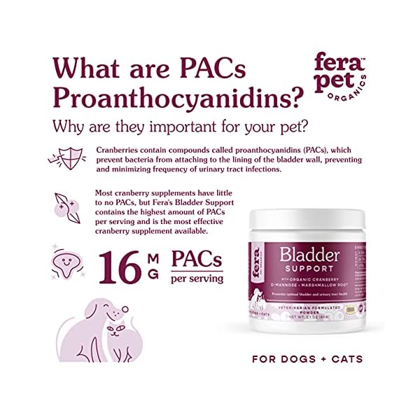 Fera Pet Organics – Bladder Support Cat and Dog Supplement, Urinary Tract and Kidney Health Supplement with Organic Cranberry, D Mannose, Marshmallow Root, Astragalus Root, and Stinging Nettle Root Fera Pet Organics – Bladder Support Cat and Dog Supplement, Urinary Tract and Kidney Health Supplement with Organic Cranberry, D Mannose, Marshmallow Root, Astragalus Root, and Stinging Nettle Root