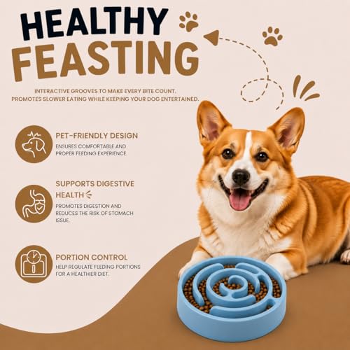 Woowoowoof Slow Feeder Dog Bowl | Small Plastic Puzzle Feeder Improves Digestion 10x Slower Eating| Anti-Gulping Non-Slip Base, Helps Prevent Bloating |0.45l Capacity, 8.3in X 1.49in (Turquoise) - Image 2
