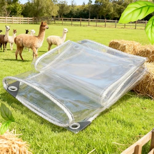 Lona resistente a la lluvia con ojales transparente para exterior 2