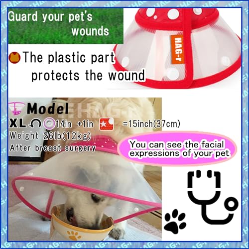 Image of Loosen Pochi Small Dog Cone with Supporters, Cat Cone, Adjust Dog's Neck to be 1inch Wider When Sleeping(Blue, Comfy Snapper Set-XL)