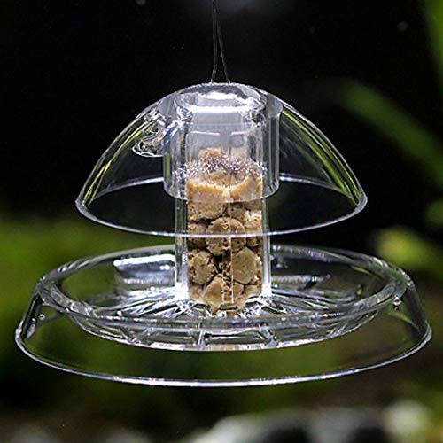 SNAIL TRAP - Aquarium natural cleaner - fish tank pest remover - no treatments or chemical required