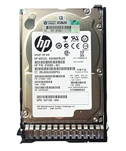 HPE 300 GB EG0300FBLSE 619286-001 9TE066-035 ST9300605SS 10K SAS 6Gbps 2,5 Zoll SFF mit HPE-Tray