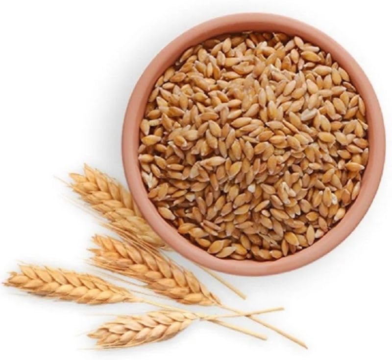 Pmw - AP Bansi - Wheat Whole Selected Gehu, 5 kg - Organic Wheat Grain (B0D7SJ675K) Amazon Price History, Amazon Price Tracker