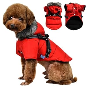 Gyuzh Dog Coat Warm Dog Jacket Winter Coat Dog Vest Reflective Dog Cold Weather Coats with Harness Waterproof Windproof Dog Snow Hoodies M Red