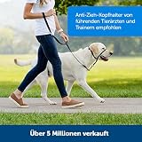 PetSafe Easy Walk Kopfhalfter, Aus widerstandsfähigem und weichem Nylon, Leichtes An- und Ausziehen, Größe L, Schwarz