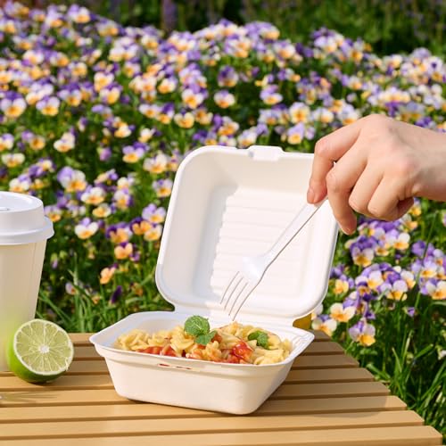 JOLLY CHEF Clamshell Take Out Food Containers, [6 * 6" 200-Pack] To Go Containers Disposable, Sugarcane To Go Boxes for Salad,Lunch by JOLLY CHEF - Image 4