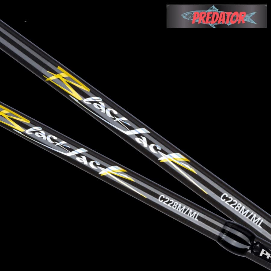 Canne à pêche rotative Blackjack avec 2 pointes interchangeables action extra rapide
