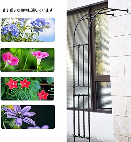 Arche de jardin en métal robuste pour plantes grimpantes et décoration haut de gamme