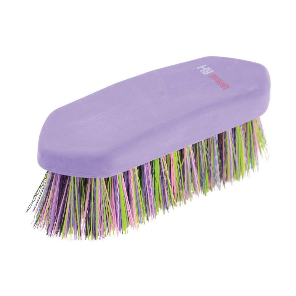 Hyshine Purple/Multi Colour Dandy Brush