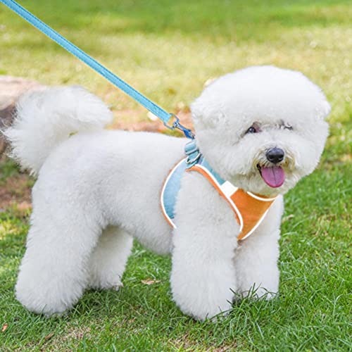 Harnais pour chien avec laisse réglable et respirable taille XS