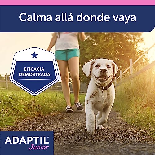 Adaptil Junior - Antistress für Welpen - Anpassung an Zuhause, Lernen, Bildung, Lloros, allein stehend - Halsband für Welpen