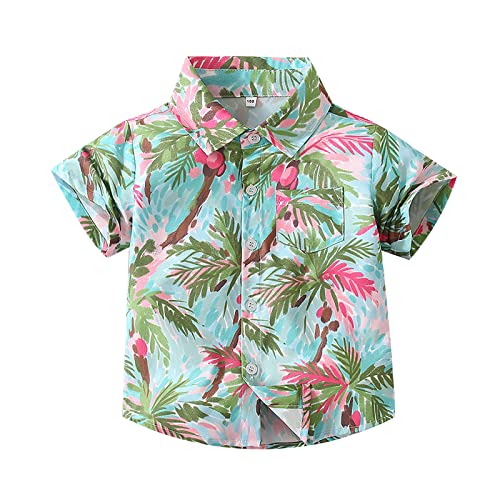 Boys Short Sleeved Everything Shirt Beach Coconut Print Casual Shirt Casual Outing Beach Side Top Boys Large