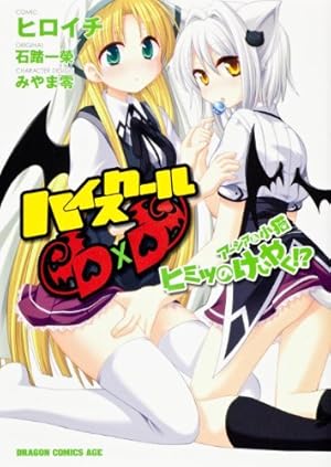 Amazon.co.jp: ハイスクールD×D 11 (ドラゴンコミックスエイジ) : 石踏