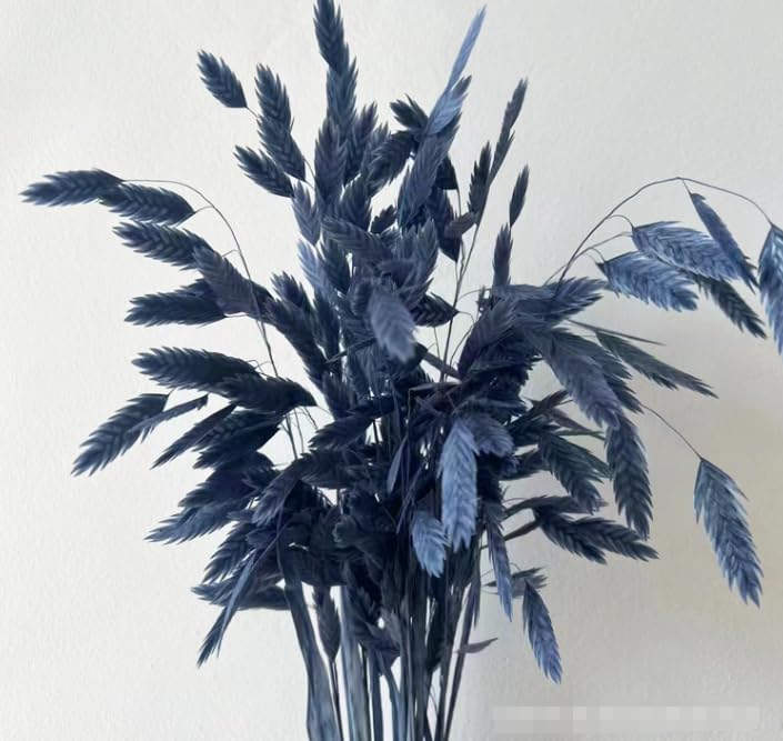 Ramo 10 piezas de flores preservadas azul miniatura 1