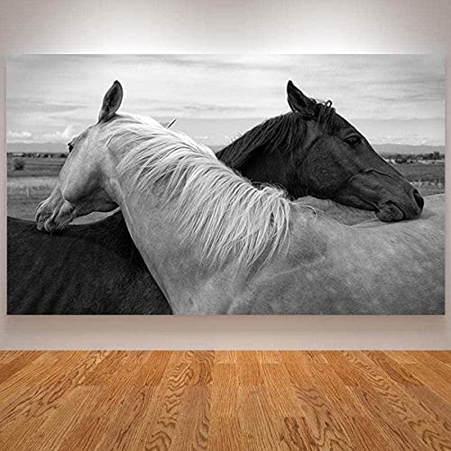 CloudShang Noir Blanc Deux Cheval Murale Art Couple Cheval Peinture sur Toile tableau Cheval Tableaux pour Salon Étude Bureau Murale Decoration Scandinave Cheval Estampes I28185 Cover
