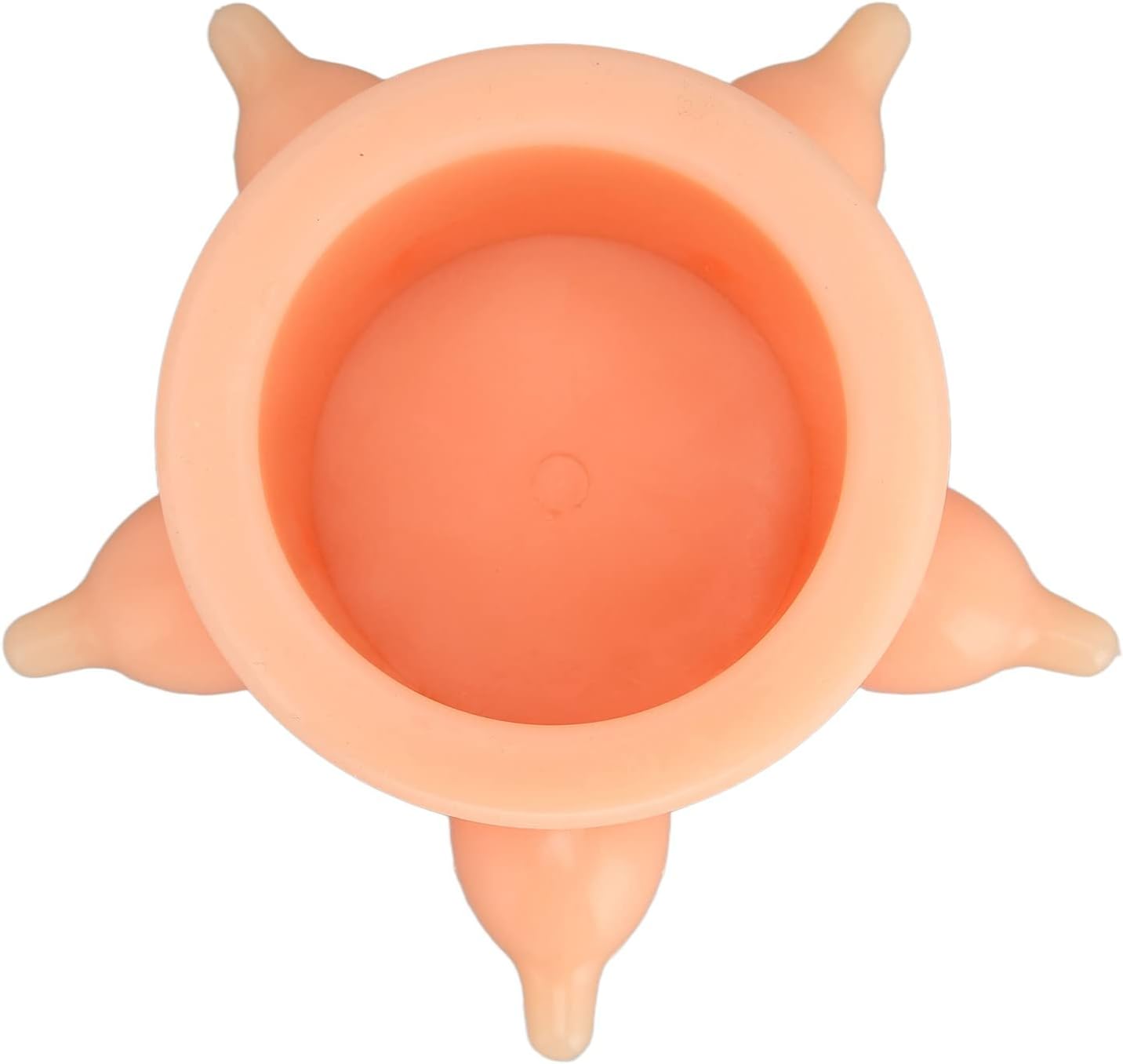 Puppy Nursing Bowl Wide Bore Pet Milk Feeder with Multiple Nipples for Baby Pet Kitten