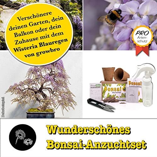Bonsai Anzuchtset von growbro - ZÜCHTE DEINEN EIGENEN BONSAI BRO, Bonsai Starter Kit inkl. Samen, Sprühflasche, uvm.