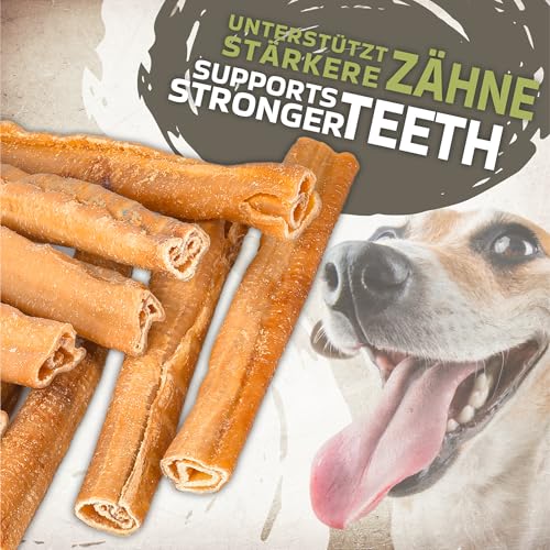 Kroketten aus Schweinehaut 20cm, 10 Stück, natürlich & Zahnpflege