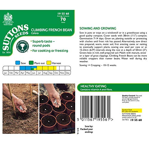 Suttons Bean (Climbing French) Seeds Cobra, Vegetable Seed, Approx. 70 Seeds per Pack, Grow Your own, Ideal for Beds and Borders