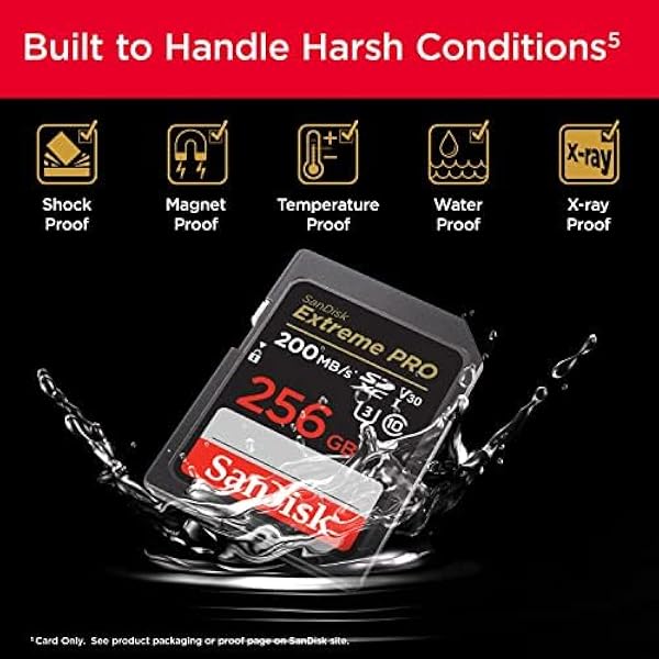 Карта памяти Sandisk Extreme Pro SDSDXXD-256G-GN4IN 256 ГБ