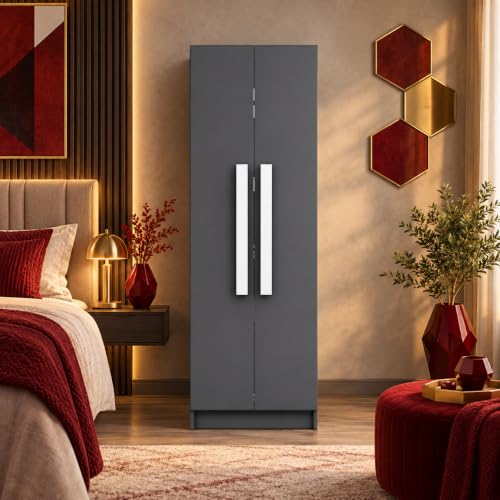 Image of Bniture Wooden Almirah for Clothes, Door for Bedroom, 2 Door Wardrobe with 4 Shelves Huge Storage Space (46D x 60W x 182H CM) | 3 Year Warranty (Slate Grey)