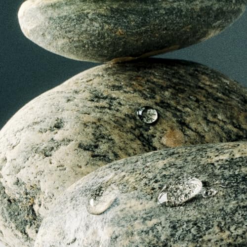 Image of Nest New York Scented Votive Candle, Forest Rain - 2 oz - Up to 28-Hour Burn Time - Reusable Glass Vessel