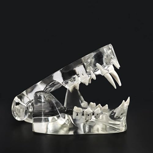 L̖̎͌^ ̖̎͌^ ETM̖̎͌^ L^ L͌^ (L̎)