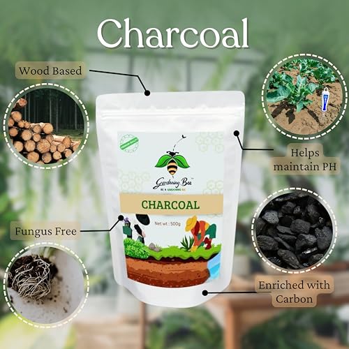 Image of Wood Based Activated Charcoal (2kg) for Orchid Potting, anthurium Plants, Horticultural Grade, Grilling, Barbecue (Charcoal, 2kg)