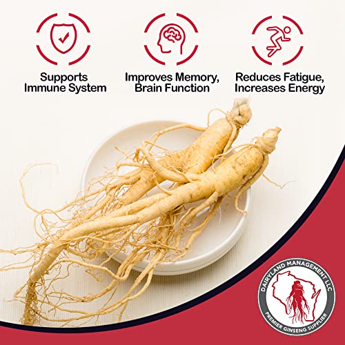 Dairyland Management Llc Ginseng Slices - 16 Oz Pack Wisconsin Ginseng Slices - Authentic American Ginseng - Non-Gmo, Gluten Free Ginseng Root Slices - Use This Herbal Supplement In Soup, Tea, Congee #TOP2