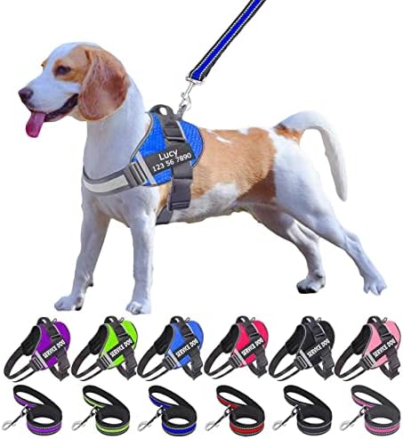 Moonpet Personalized No Pull Dog Harness Leash Set with Custom Name and Phone Number, Heavy Duty Pet Vest to Prevent Tugging, Pulling, or Choking, Training and Walking (XS-XXL, 9 Colorful)
