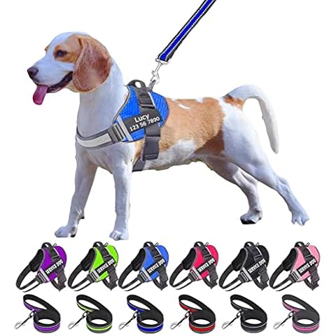 Moonpet Personalized No Pull Dog Harness Leash Set with Custom Name and Phone Number, Heavy Duty Pet Vest to Prevent Tugging, Pulling, or Choking, Training and Walking (XS-XXL, 9 Colorful)… Cover
