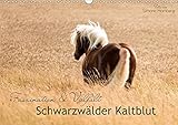  Faszination und Vielfalt - Schwarzwälder Kaltblut (Wandkalender 2019 DIN A3 quer): Kraftvoll, elegant, manchmal verspielt und in seiner Vielfalt ... (Monatskalender, 14 Seiten ) (CALVENDO Tiere)