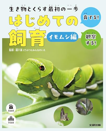 生き物とくらす最初の一歩 はじめての飼育 イモムシ編