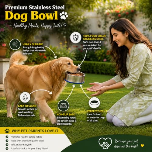 Image of Stainless Steel Dog Bowl with Non-Slip Silicone Base | Food & Water Bowl for Dogs & Puppies | Rust-Resistant, Heavy Duty, Easy to Clean, Anti-Skid Pet Feeding Bowl | Silver & Blue (1 Piece) (4000)