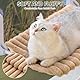 MEWOOFUN Katzenfenster-Sitzstange Faltbar mit abnehmbarem und wendbarem Bezug - Weiche Katzenfenster Hängematte mit verstärktem Stahlrahmen stabil bis 18 kg belastbar (Kamel, L)