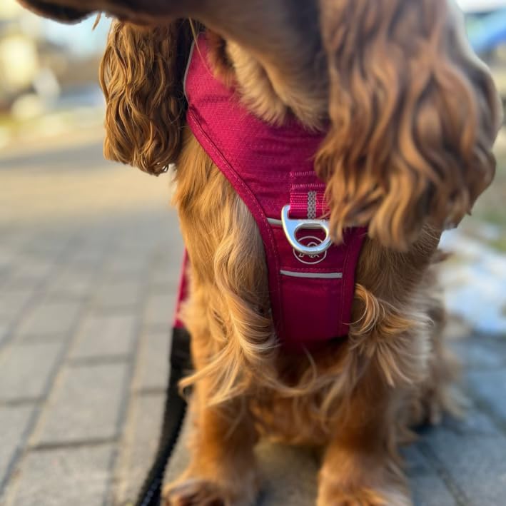 Lalazoo Adventure Hundegeschirr Typ Guard – No-Pull verstellbar gepolstert & reflektierend mit Griff Zwei Leinenbefestigungen & Tasche wasserabweisend für kleine mittelgroße & große Hunde – Rot, M