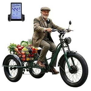 WuXQuuzlh 24 Zoll Dreirad für Erwachsene Elektro, Dreirad Erwachsene mit Breiten Reifen, 20-Zoll-Winterreifen Hinten, LCD-Display, Geräumiger Gepäckkorb für Senioren Alltag Einkauf C