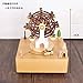 Celsy Wind Up Musical Box as Gift Like Birthday Gift and 2018 New Year Gift (Ferris Wheel)