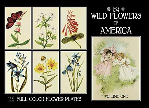 Wild Flowers of America: 144 Illustrations of Every Flower in the American Union (Volume)