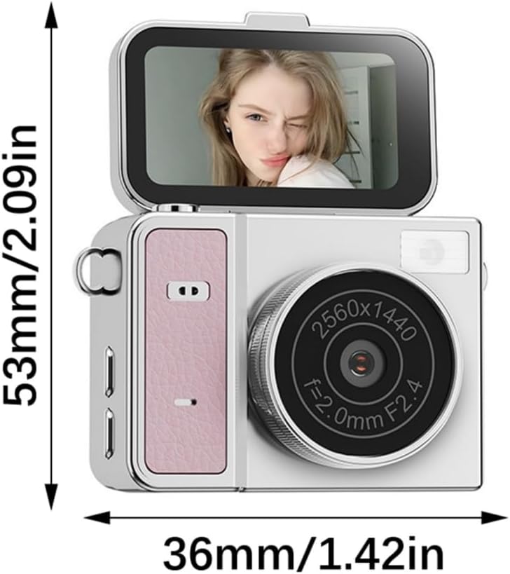 Portable CCDs Camera Features 1080P Resolution and Simple One Button Operation