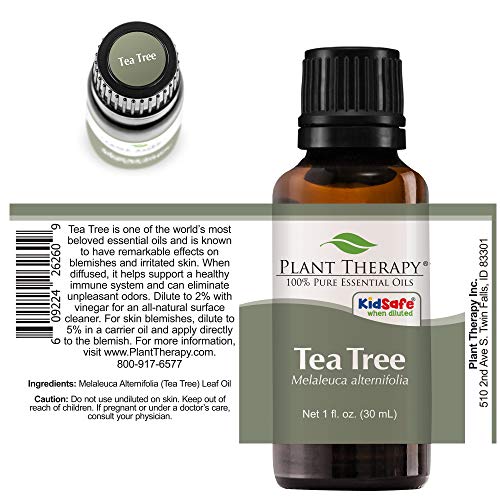 Plant Therapy Tea Tree Essential Oil 100% Pure, Undiluted, Natural Aromatherapy, Therapeutic Grade 30 Ml (1 Oz) #TOP6