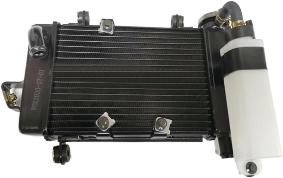 Motorcycle Accessories R25 FY250G Water Flying Eagle 250 Water Radiator Fan(B)