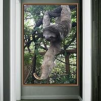 Framed Canvas Wall Art Sloth Animals Expressive Farmhouse/Country Living Room Monkey Multicolor Photography - 16x24 inches
